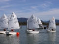Opti-Race-246