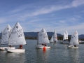 Opti-Race-247
