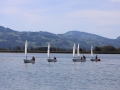 Opti-Race-259