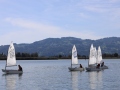 Opti-Race-260