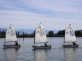 Opti-Race-261