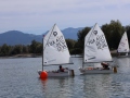 Opti-Race-262