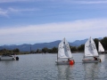Opti-Race-263