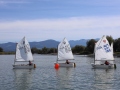 Opti-Race-264