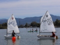 Opti-Race-266
