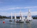 Opti-Race-270