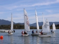 Opti-Race-276