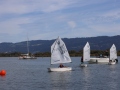 Opti-Race-278