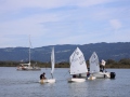 Opti-Race-279