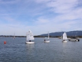 Opti-Race-280