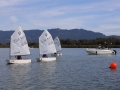Opti-Race-281