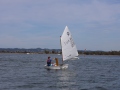 Opti-Race-289