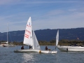 Opti-Race-291