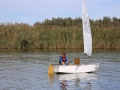Opti-Race-293