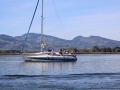 Opti-Race-30