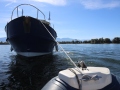 Opti-Race-31