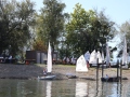 Opti-Race-33