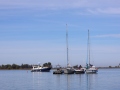 Opti-Race-44