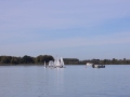 Opti-Race-45