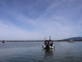 Opti-Race-52