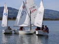Opti-Race-56
