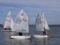 Opti-Race-73