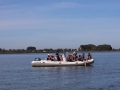 Opti-Race-74