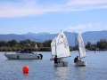 Opti-Race-79
