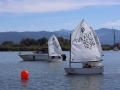 Opti-Race-80