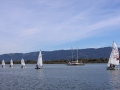 Opti-Race-86