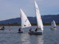 Opti-Race-88