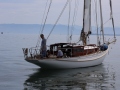 Schoten- und Knotenregatta 2024