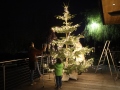 Weihnachtsbaum-schmuecken-10