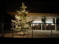 Weihnachtsbaum-schmuecken-12