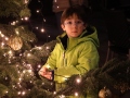 Weihnachtsbaum-schmuecken-18
