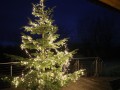 Weihnachtsbaum-schmuecken-2