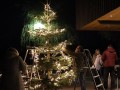 Weihnachtsbaum-schmuecken-5