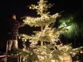 Weihnachtsbaum-schmuecken-7