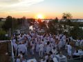 White-Night-63-scaled