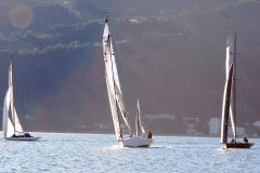 Zweihand Regatta 2022